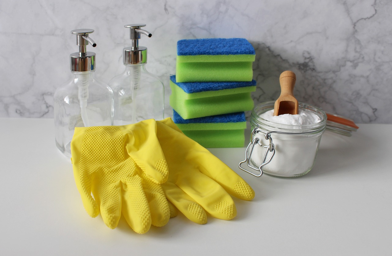 Why Should You Hire Professional House Cleaning Services?