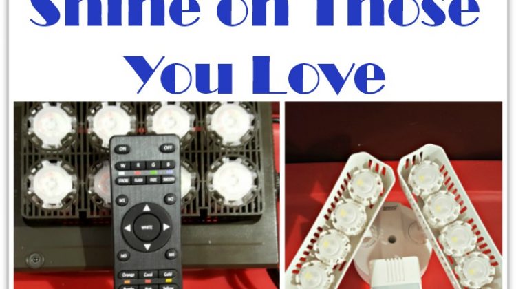SANSI Lights Shine on Those You Love