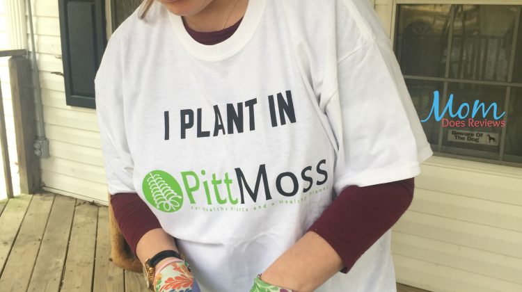 planting seeds