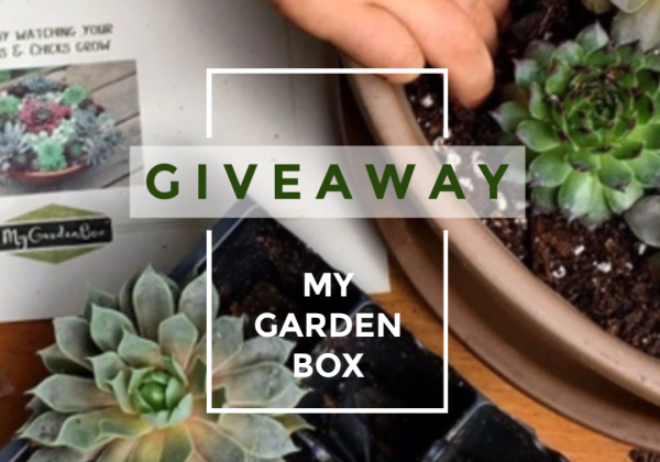Win My Garden Box