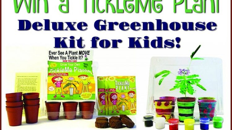 #Win a TickleMe Plant Deluxe Greenhouse Kit for Kids, US, ends 5/3