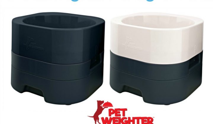 Win a Set of Three Pet Weighter Dog Bowls