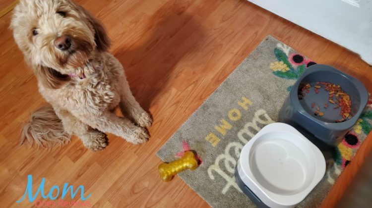 Put a Stop to Pets Tipping or Chasing Their Feeding Bowls with PetWeighter Dog Bowls