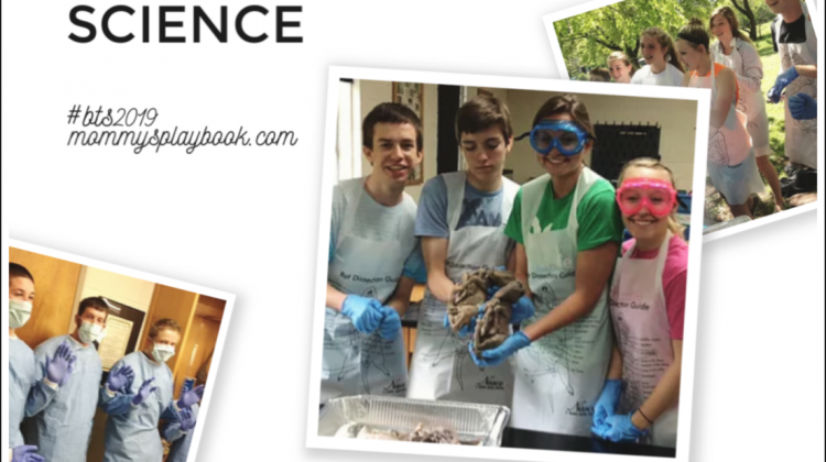 2 #Winners! Online Science Class ($680 value) + 2-Day Biology or Chemistry Lab ($280 value). US, ends 8/24