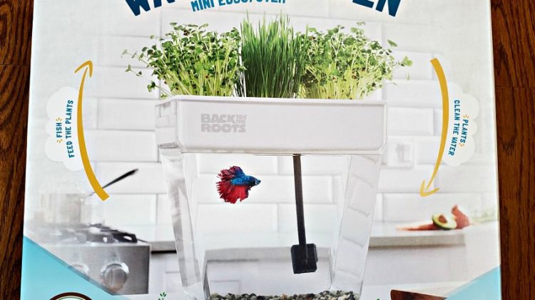 Grow Organic Herbs With The Back To The Roots Water Garden