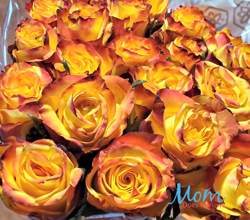 Brighten Your Home with Flowers from BloomsyBox