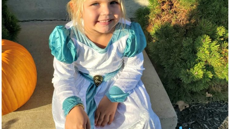 Princess Odette Outfit