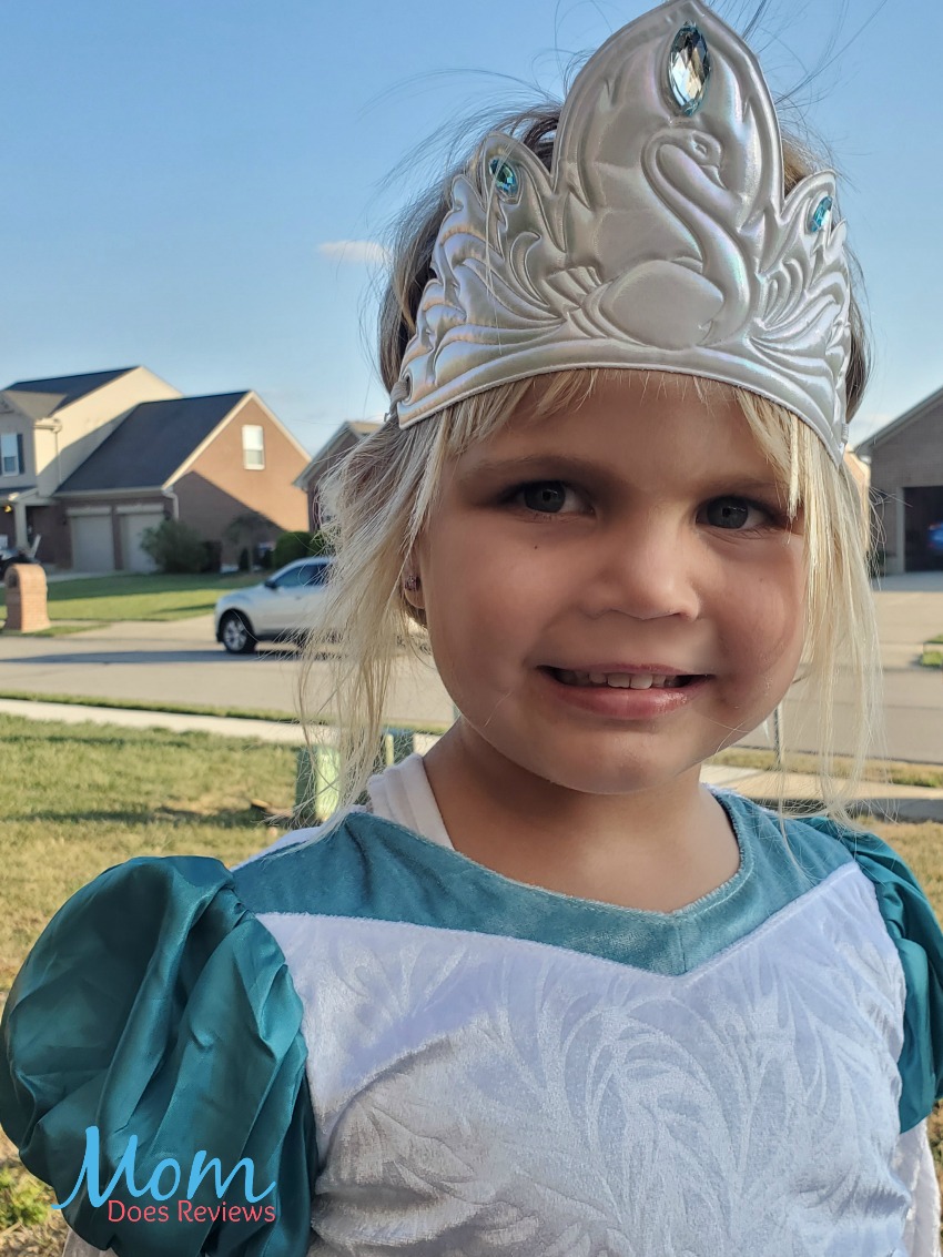 Don't Miss the 25th Anniversary of THE SWAN PRINCESS