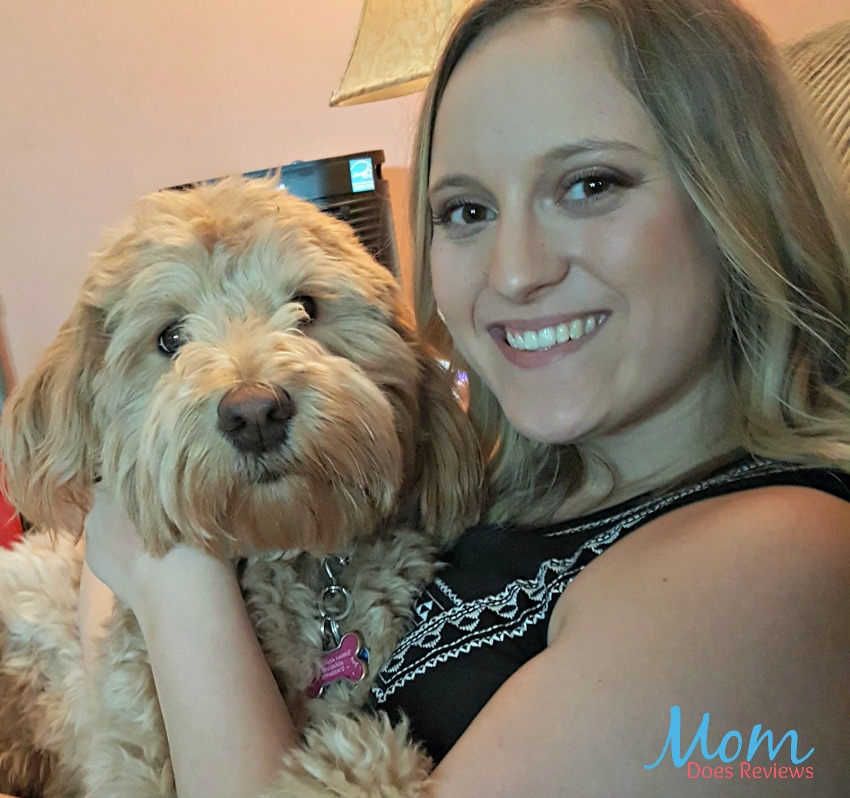 Enjoy Cuddling Your Dogs More with K9 Cologne
