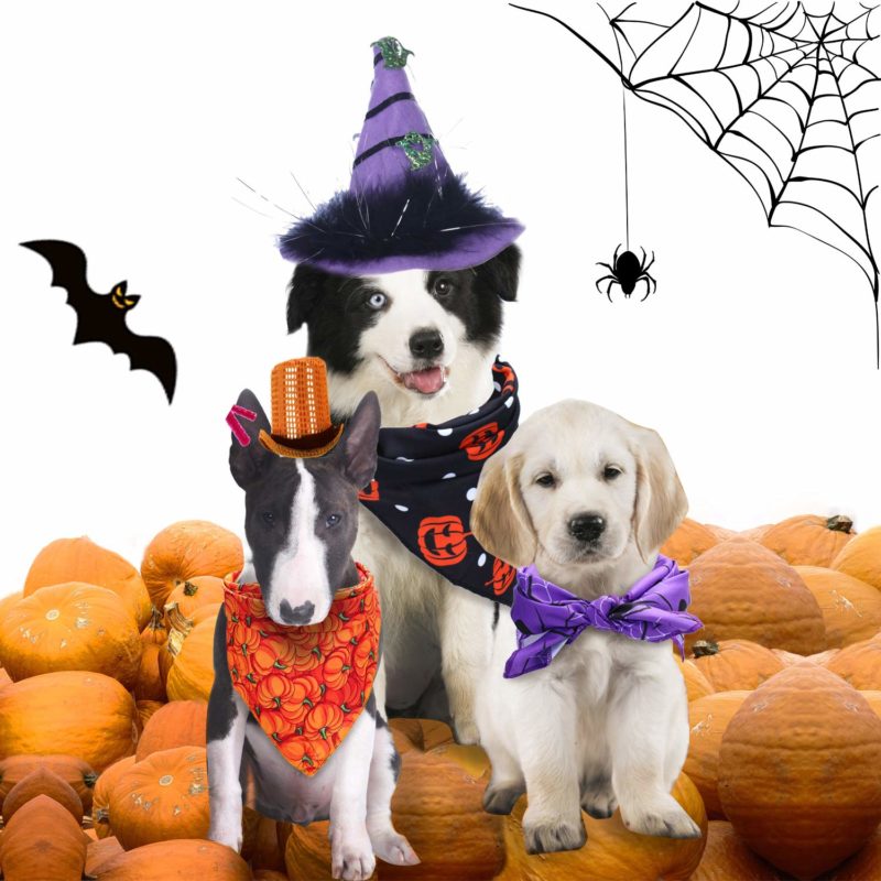 Frienda 3 Pieces Halloween Dog Bandanas