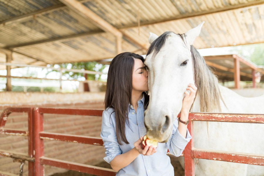 owner with white horse