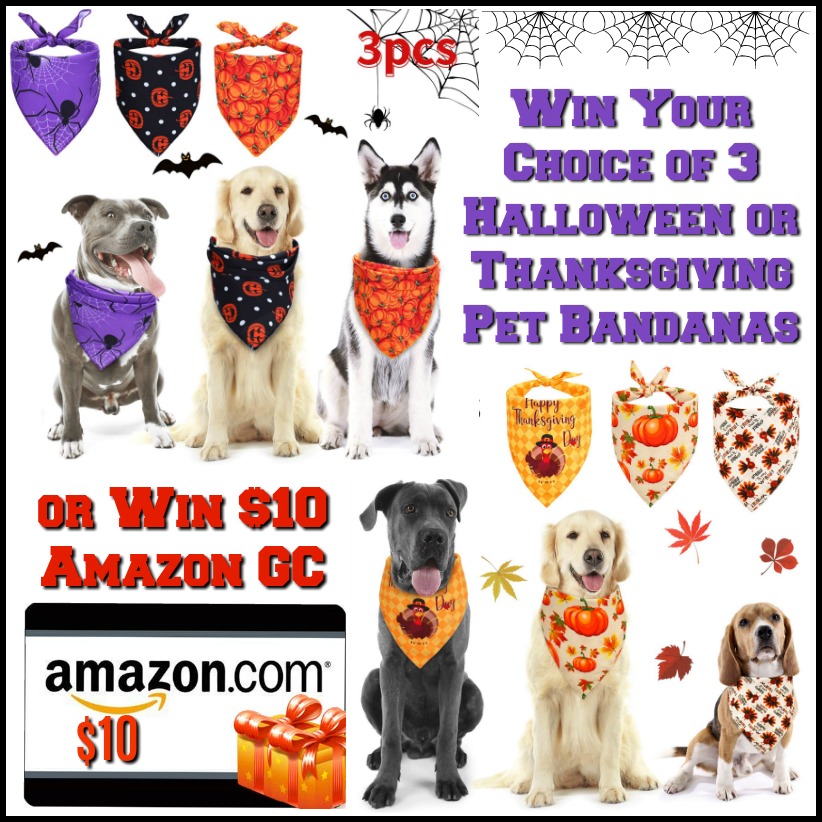 Win $10 Amazon GC or Halloween or Thanksgiving Pet Bandanas! US ends 10/28