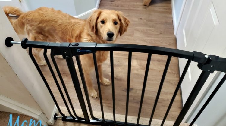 Great for Pets