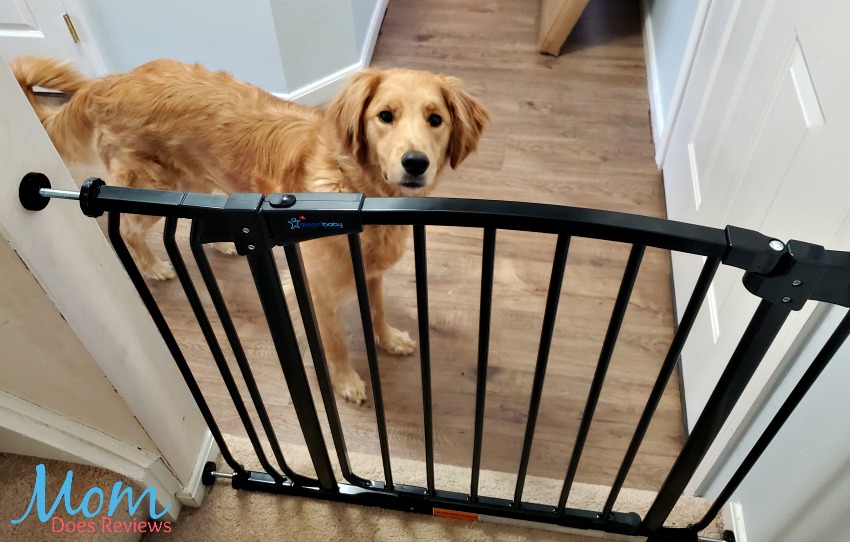 Great for Pets
