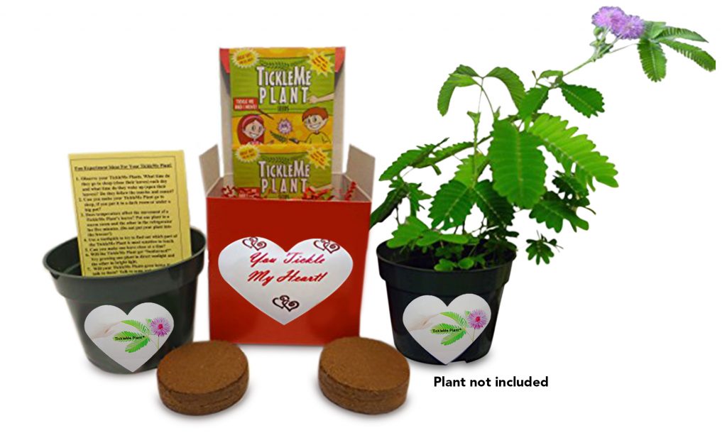 Multi-Prize HUGE Valentine's Day Giveaway! US, ends 2/10