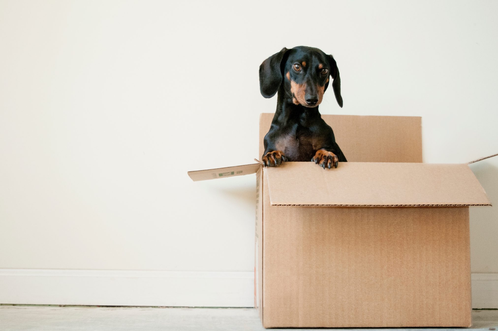 3 Great Ways to Organise Your Home Move