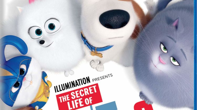 #Win ONN DVD player and Secret Life of Pets 2 DVD! US ends 3/6