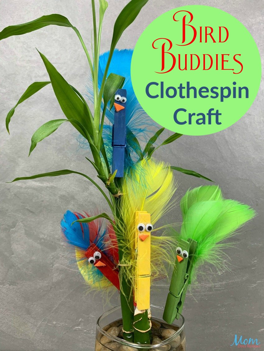 Super Cute Bird Buddies Clothespin #Craft #boredombuster #diy #funstuff