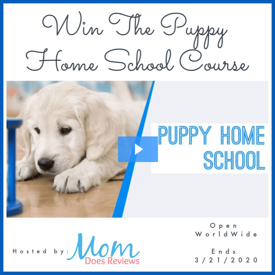 Win The Puppy Home School Course