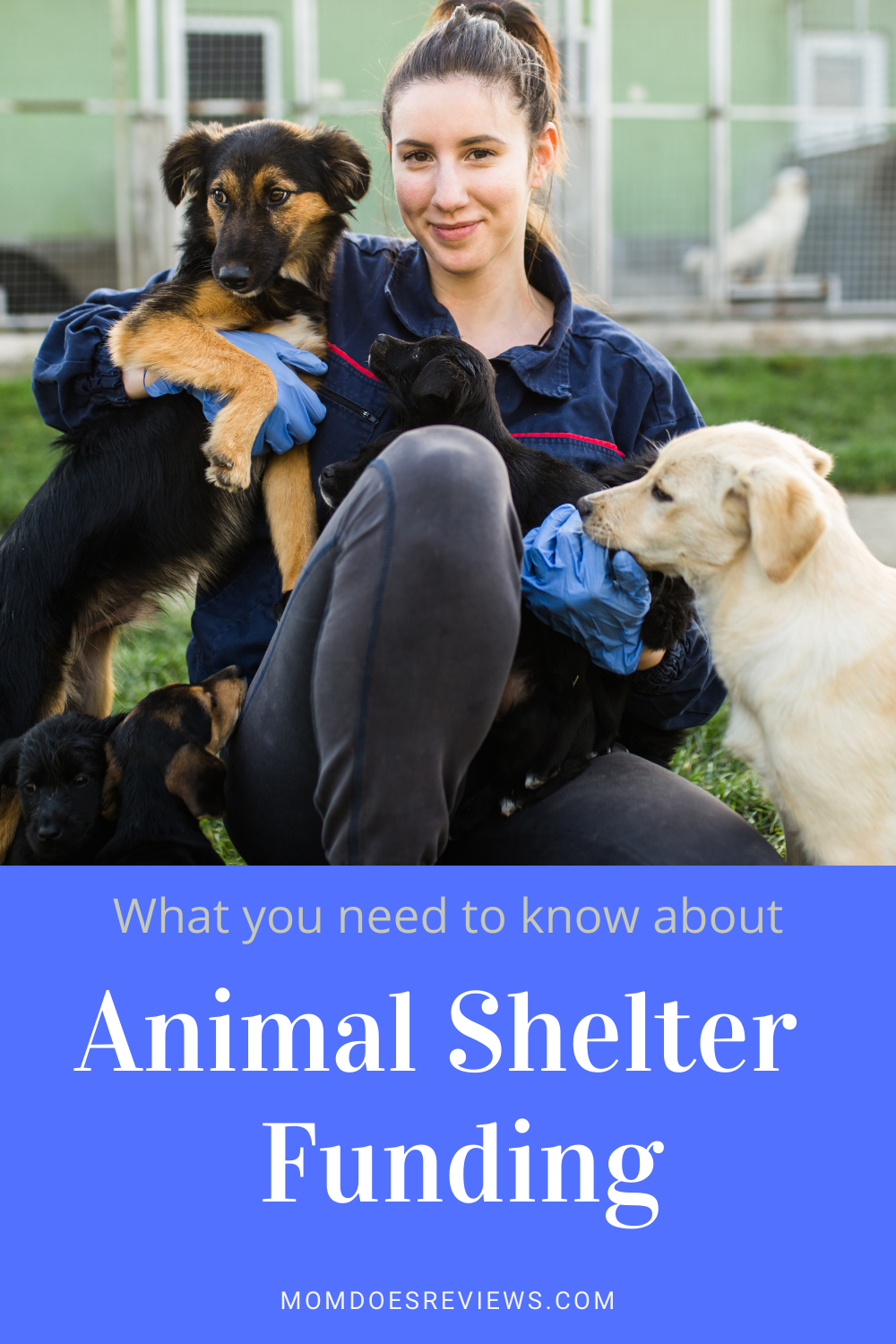 Animal Shelter Funding