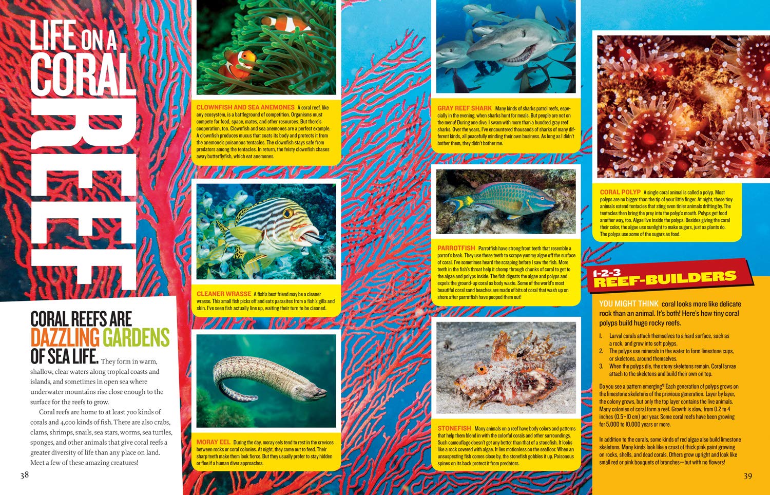 #Win 5 Nat Geo Books- The Explorer Academy Series & Extreme Ocean! #AprilShowers
