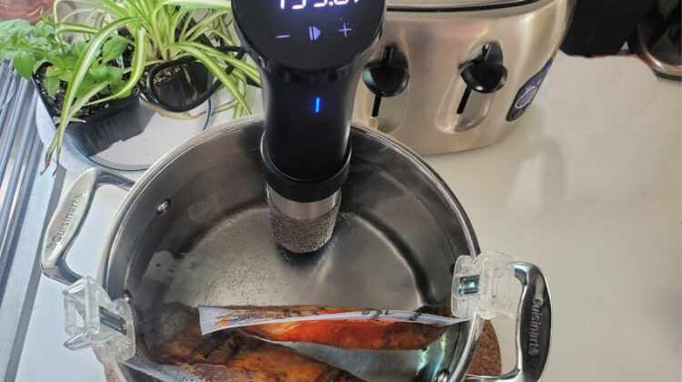 Elevate Your Cooking Skills with the Anova Precision® Cooker