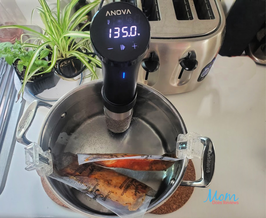 Elevate Your Cooking Skills with the Anova Precision® Cooker