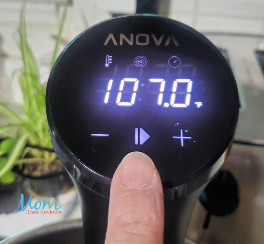 Elevate Your Cooking Skills with the Anova Precision® Cooker