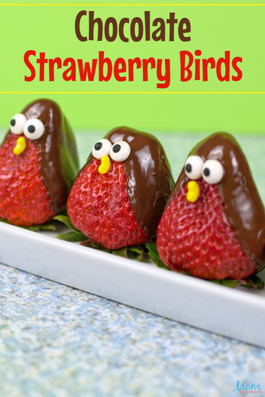 Fun & Yummy Chocolate Strawberry Birds How-to! #funfood #strawberries