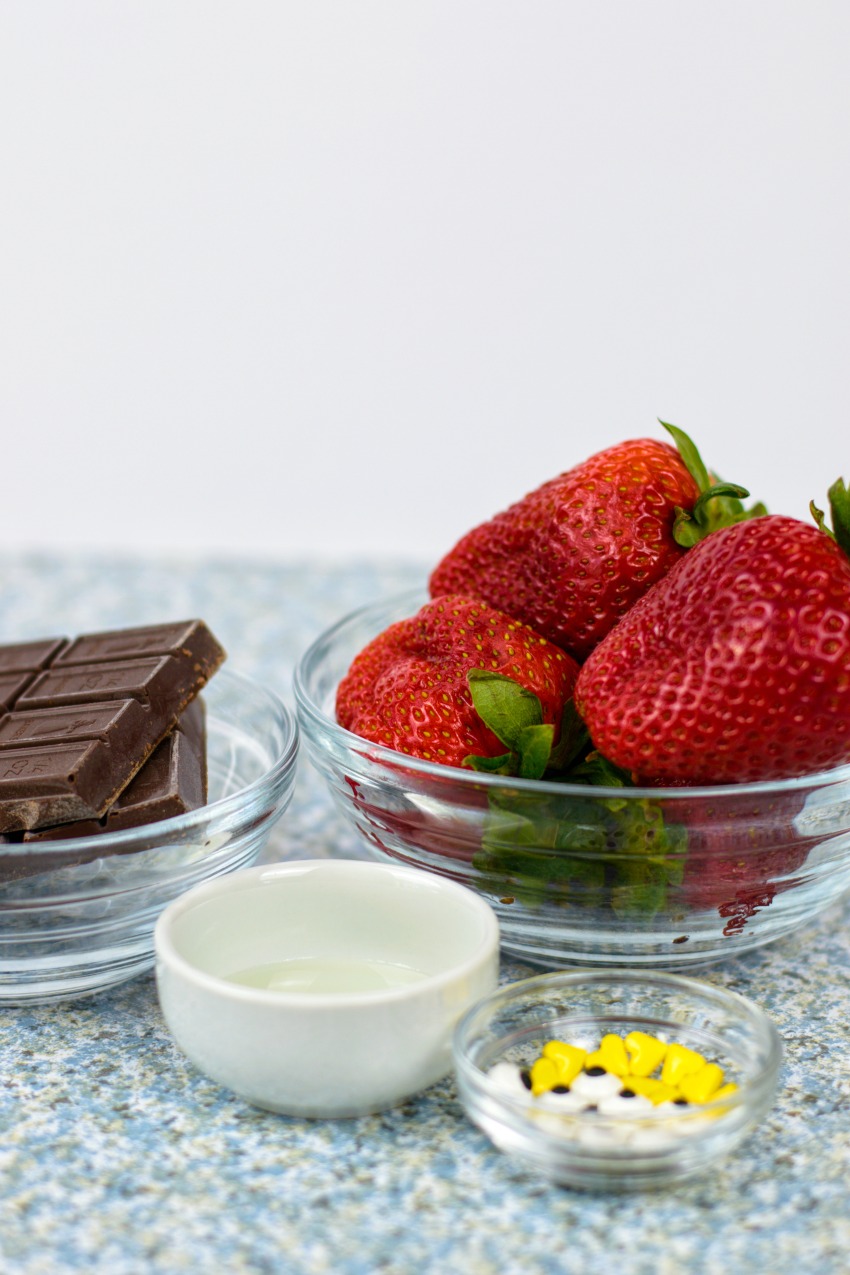 Chocolate Strawberry Birds ingredients and supplies needed