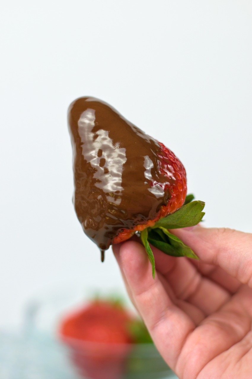 Chocolate Strawberry Birds process