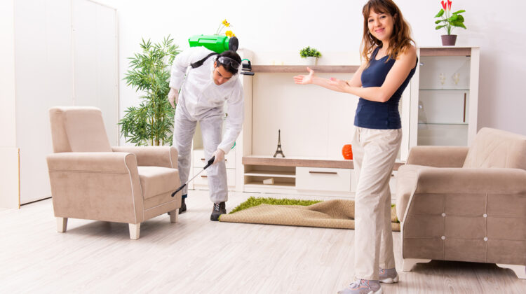 Is Organic Pest Control Effective?