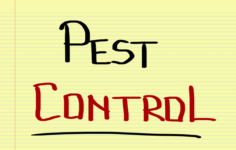 Is Organic Pest Control Effective?