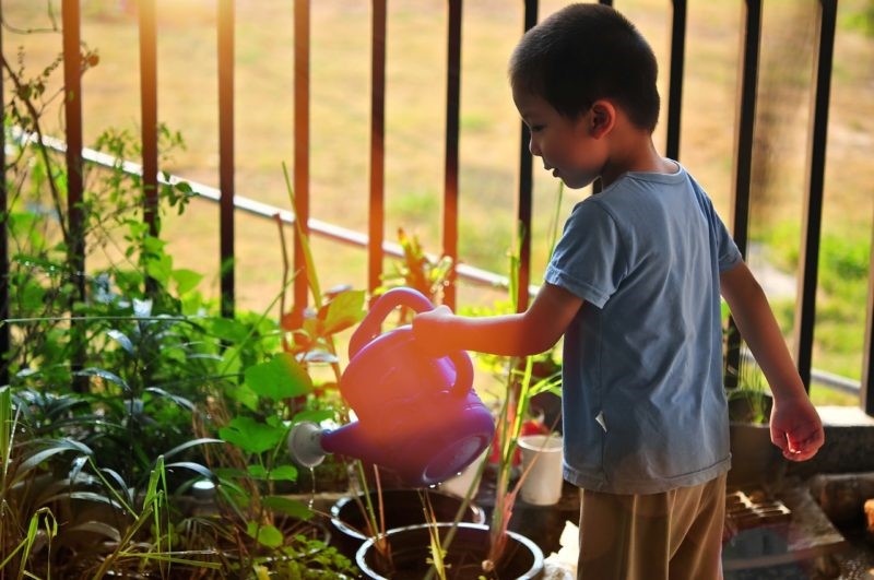 9 Smart Ways of Keeping Your Home’s Garden Healthy 