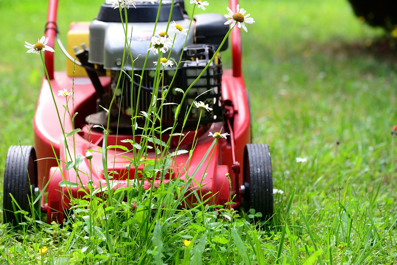 11 mowing mistakes everyone makes