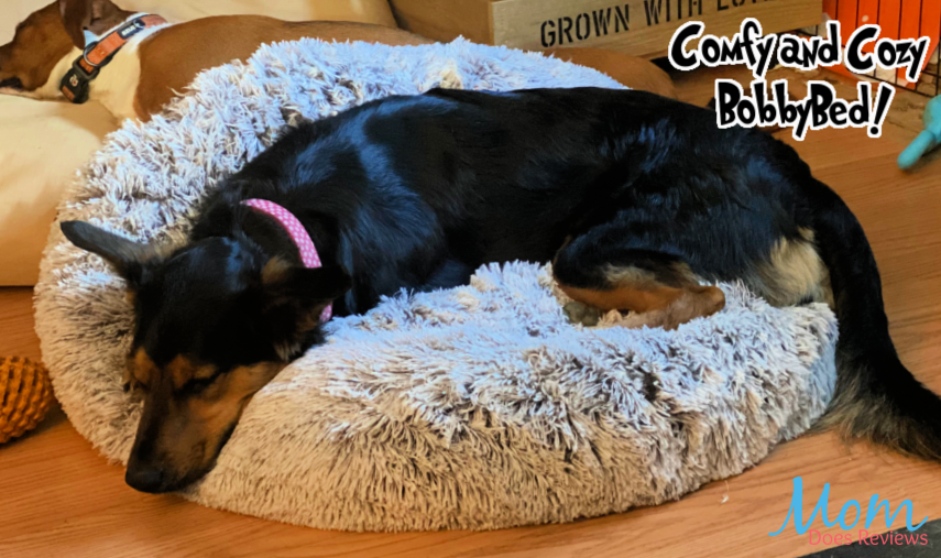 Comfy and Cozy Bobbybed for pups