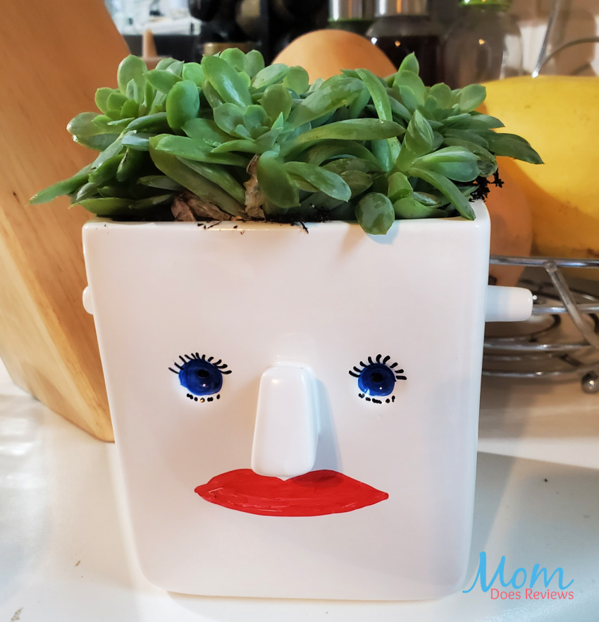 Face Plant 30 Watt Plants