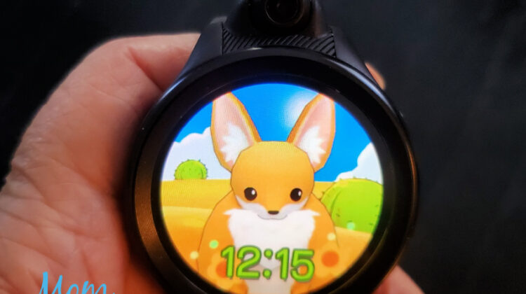Fennec Watch