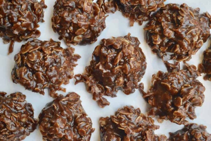 25+ Delicious No-Bake Christmas Cookies You Just Have to Try This Year