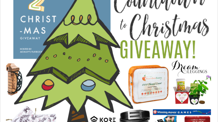 Don't Miss the Countdown to Christmas Prize Package (APV $600) US, ends 12/24