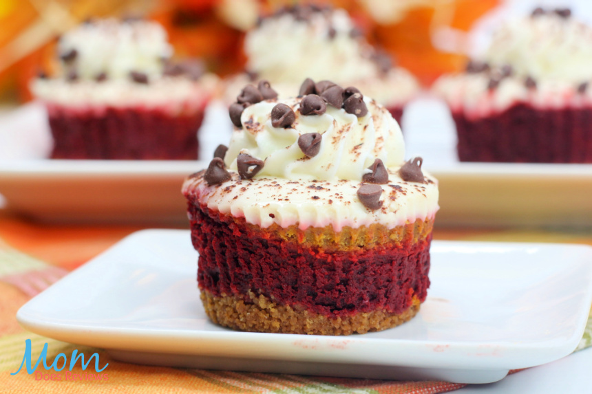 Red Velvet Pumpkin Swirl Mini Cheesecakes