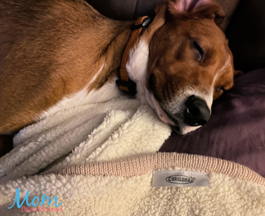 Get Comfy with Cariloha's Bamboo Sherpa-Lined Throw #MegaChristmas20
