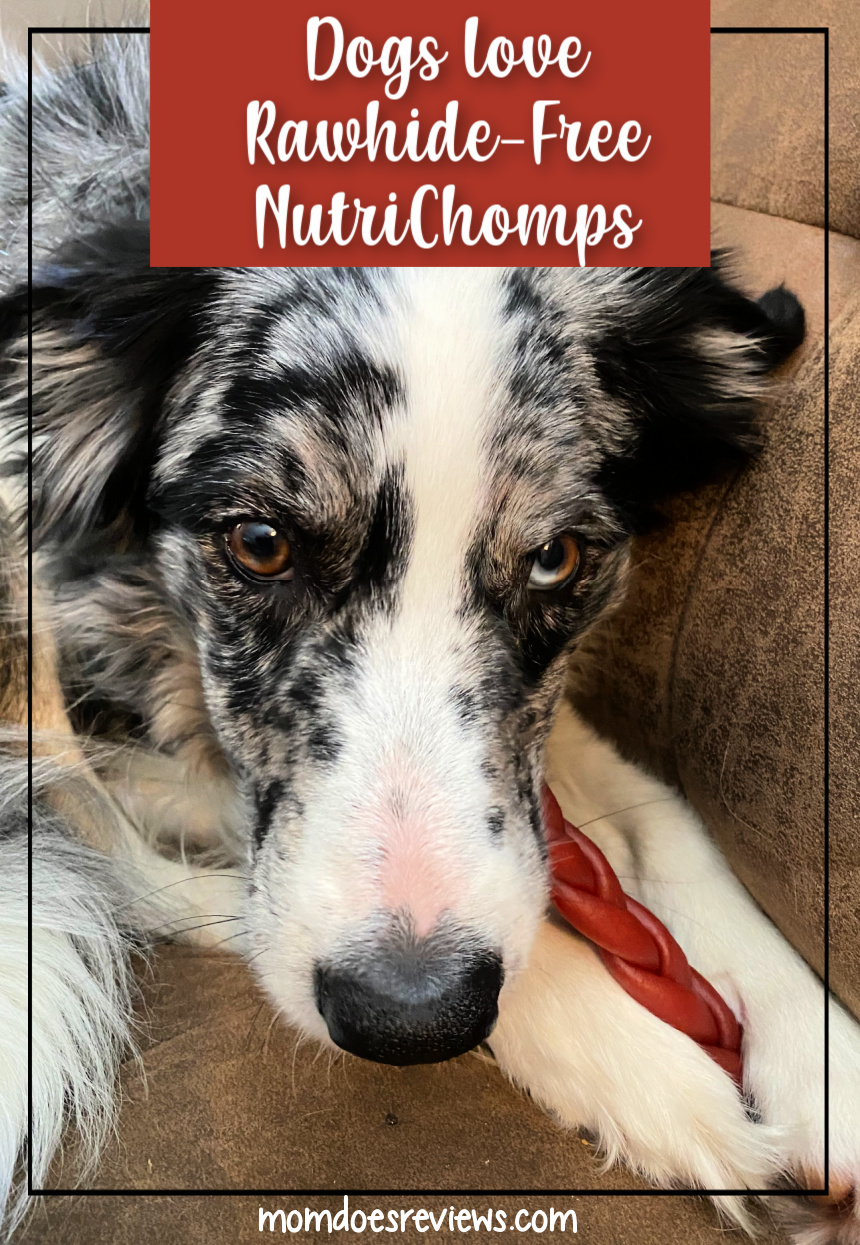 Show Your Pups Love with Rawhide-Free Nutri Chomps #ValentinesGifts2021