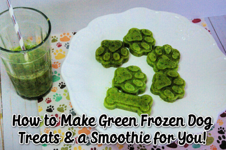 Green dog treats and smoothie