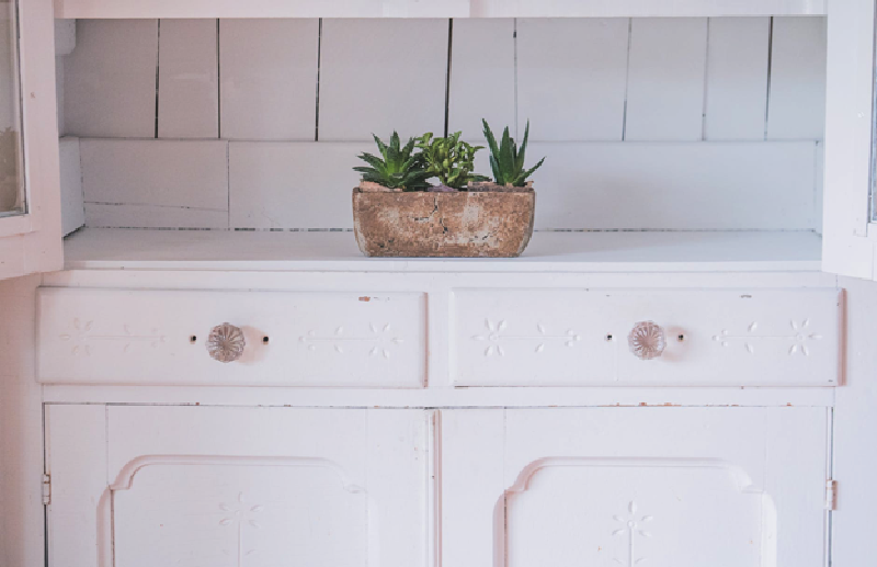 The Complete Beginner's Guide to Using Milk Paint