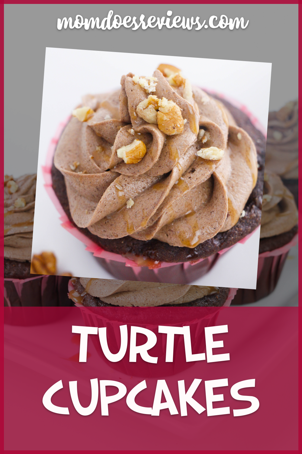 Turtle Cupcake Recipe