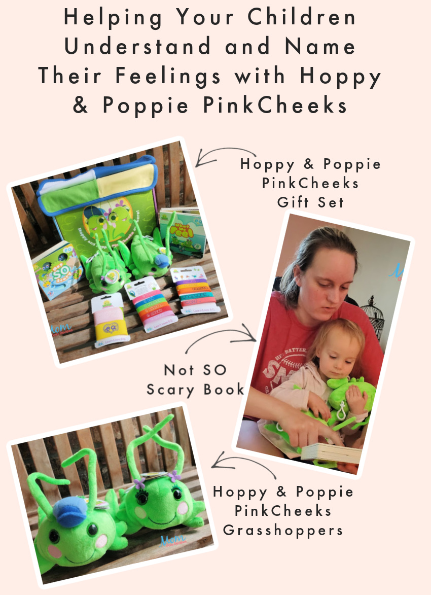 Helping Your Children Understand and Name Their Feelings with Hoppy & Poppie PinkCheeks