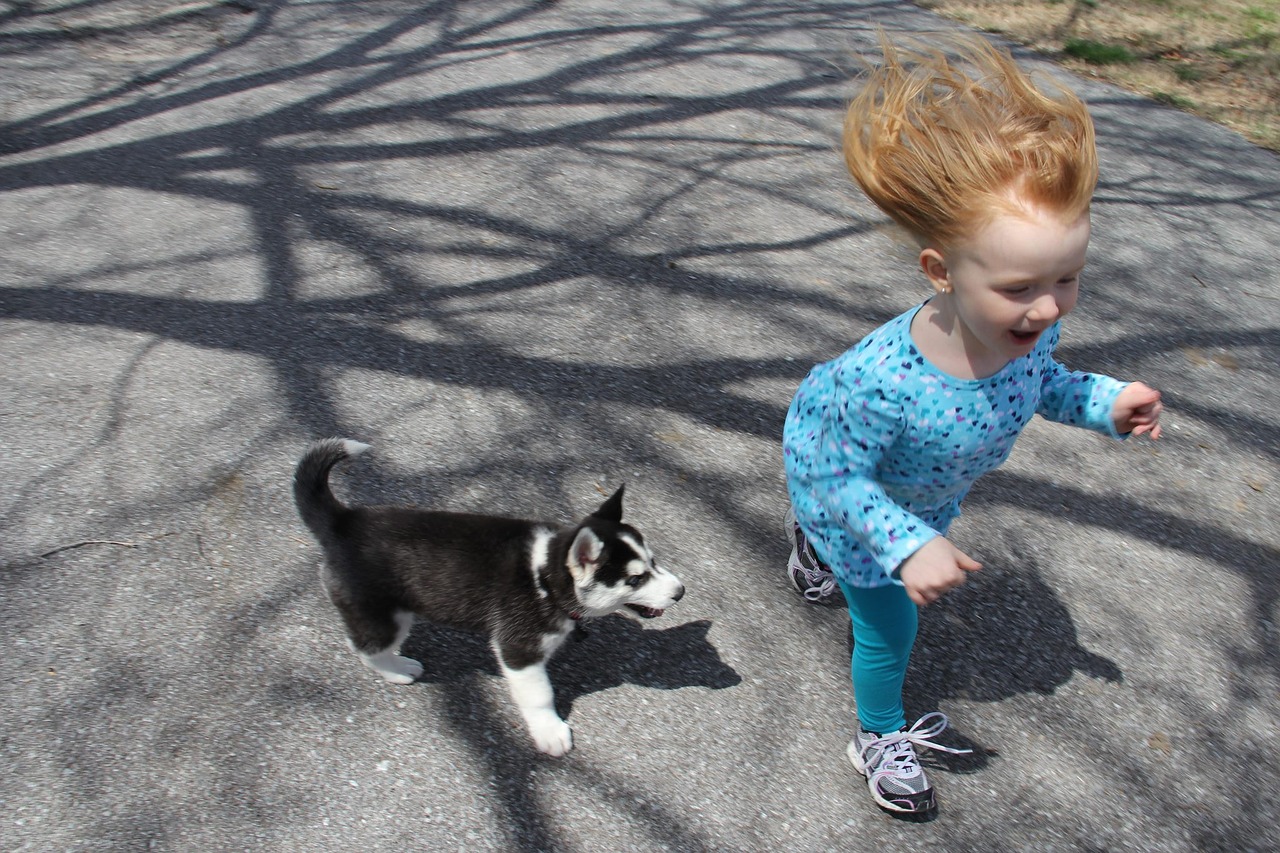 Why Dogs and Small Children Should Never Be Left Alone