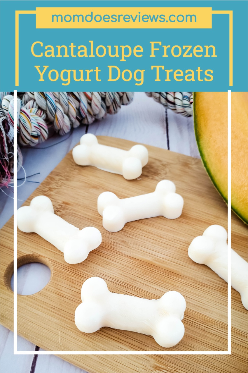 Cantaloupe Frozen Yogurt Dog Treats #Recipe #pettreats #frozentreats