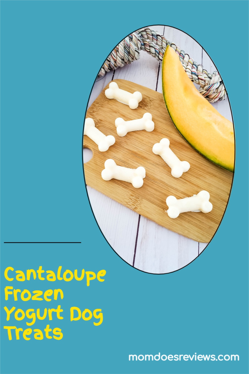 Cantaloupe Frozen Yogurt Dog Treats #Recipe #pettreats #frozentreats